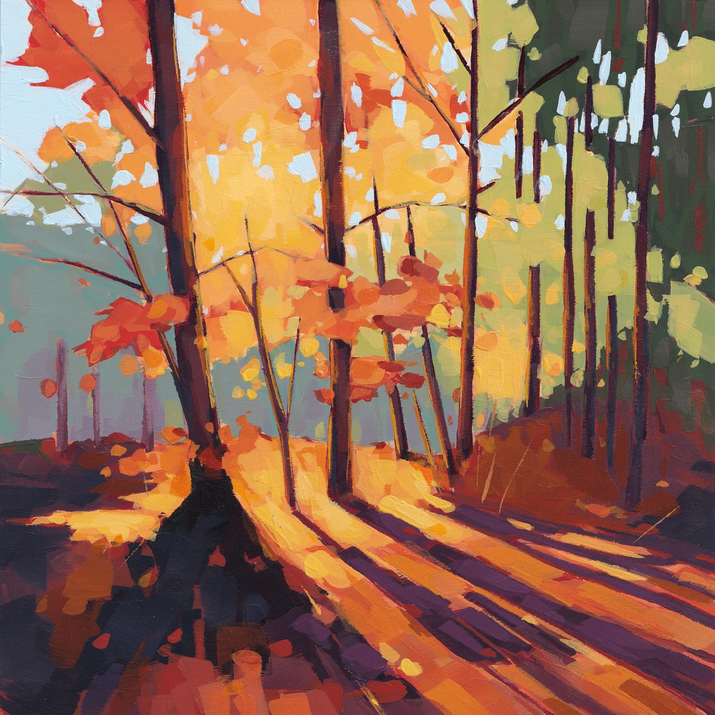 Falling Light - Contemporary Fine Art Print