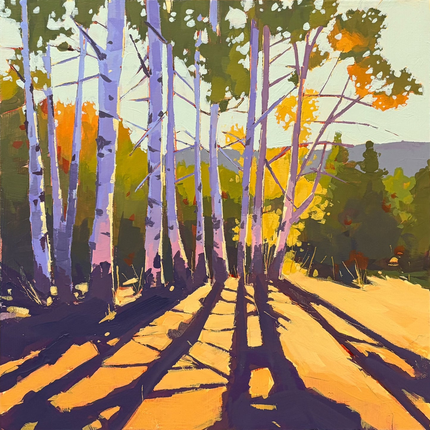 British landscape fine art print by Sarah Thomas, archival giclée reproduction from original painting.  Painting of a forest with tall trees casting shadows on a path
