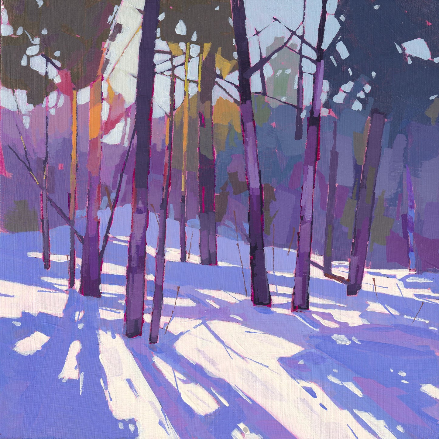 Winter Shadows - Fine Art Print