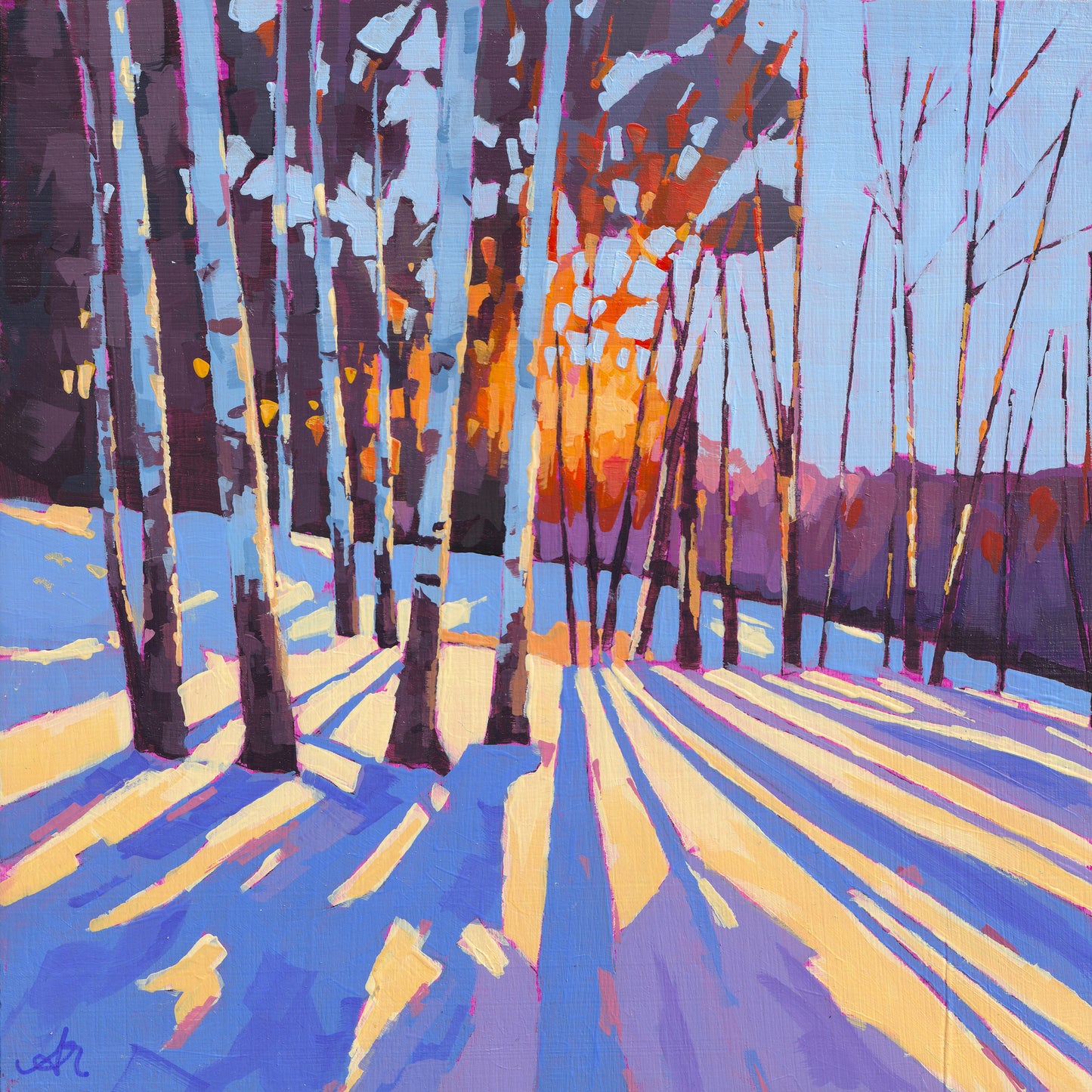 Winter Radiance - Limited Edition Fine Art Print
